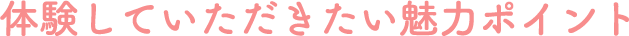 体験していただきたい魅力ポイント